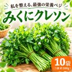 クレソン 100g×10袋