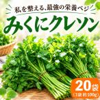 クレソン 100g×20袋