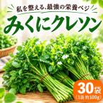 クレソン 100g×30袋