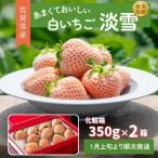 先行受付開始 希少価値 いちご 淡雪 化粧箱×2箱