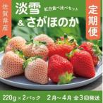 先行受付開始 紅白いちご 食べ比べ 2027年1~