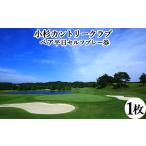 ペア平日セルフプレー券
