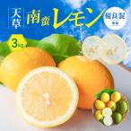 S131-006A_天草南蛮レモン 等級