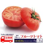 全3回 定期便 フルーツトマト 大箱 約2.6kg