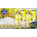 コシヒカリ 白米 10kg
