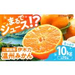 ふるさと納税 ※【2026年(令和8年)1月発送分／先行予約】伊木力温州みかん 10kg（ご家庭用）/ みかん ミカン 蜜柑 みかんジュース フルーツ 果物.. 長崎県諫早市