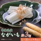 産ながいも ネバリスター 約3kg