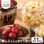 西原ばあちゃんの手作り梅しそ漬け らっきょう漬けセット