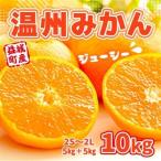 温州みかん 約10kg