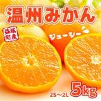 温州みかん 約5kg