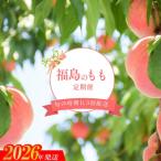 ふるさと納税 No.2295福島のもも3回定期便【2026年発送 先行予約】 福島県福島市