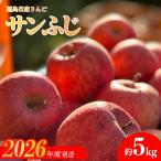 No.2332 あづま果樹園 りんご サンふじ 約5kg