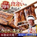 うなぎ うなぎ蒲焼き 2尾
