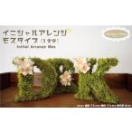 イニシャルアレンジ モス 1文字 花 ドライフラワー