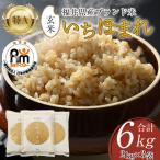 いちほまれ 玄米 2kg×3袋