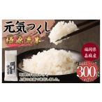 極源流米 お試し パック 約300g