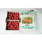 ショッピングふるさと納税 さくらんぼ ふるさと納税 さくらんぼ（佐藤錦）７００ｇ（３５０ｇ×２パック）　秀品　Ｌ玉以上　0012-2602 山形県上山市