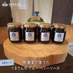 無農薬で育てたくまさんのブルーベリーソース