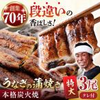 うなぎ うなぎ蒲焼き 特大3尾 NAK006