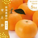 せとか 前地農園のせとか M-2L 5kg
