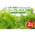 fu.... налог leaf lettuce комплект примерно 2Kg Naka город производство свежий lettuce leaf lettuce оборка lettuce зеленый leaf нет пестициды овощи культивирование период средний пестициды не использование ... Ibaraki префектура Naka город 