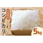 令和8年度産 みねしまふぁーむ 常陸牛農家が育てるコシヒカ…