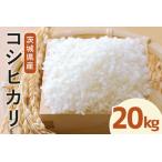 令和8年度産 常陸牛農家が育てるコシヒカリ 20kg