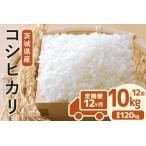 定期便 常陸牛農家が育てるコシヒカリ 10kg×12回