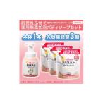 肌荒れを防ぐ薬用無添加 泡ボディソープセット