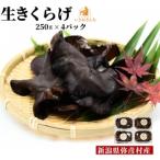 生きくらげ 越のうさぎ 250g×4パック