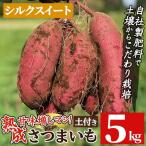 a845-A 産さつまいもシルクスイート土付き5kg