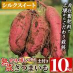 a845-B 産さつまいもシルクスイート土付き10kg