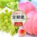フルーツ 山梨 旬のフルーツ定期便 2回コース