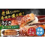 鰻 蒲焼き2尾 NAI007 全3回