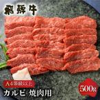 白川郷 飛騨牛 カルビ 肩バラ肉 焼肉用 500g