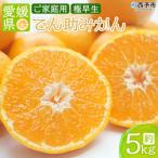 西宇和産 でん助みかん 極早生 5kg