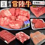 牛肉 ヒレ 厳選 常陸牛 6ヶ月セット 共通返礼品