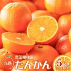 奄美 完熟 たんかん 優品 5kg