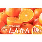 奄美 完熟 たんかん 優品 10kg