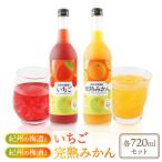 紀州のイチゴ梅酒 720ml 完熟みかん梅酒 720ml セット