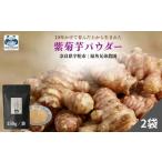 紫菊芋パウダー 菊芋 粉末 パウダー 紫 薬草