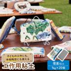 夏休み工作に 子供の工作から本格陶芸にも使える粘土