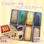 ふるさと納税 お菓子 スイーツ フィナンシェ 10個 おまかせ 個包装 贈答 ギフト デザイン缶 プレーン ショコラ 紅茶 オレンジ いちじく ヘーゼル.. 静岡県沼津市