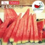 皮までうまか 糸島産ハウス栽培こたろうスイカ