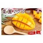 ショッピングふるさと納税 マンゴー ふるさと納税 《先行予約》2026年発送 有機JAS認証マンゴー（アーウィン）ご自宅用 1kg【楽園の果実】(DQ017) 沖縄県宮古島市