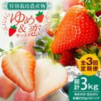 いちご イチゴ 苺 ゆめのか 恋みのり 計 1kg