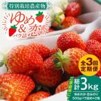 いちご 1kg