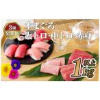 本マグロ 本まぐろ 3種セット 大トロ 中トロ
