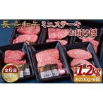 長崎和牛ミニステーキお届け便 6回
