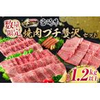 ショッピングふるさと納税 肉 ふるさと納税 数量限定 宮崎牛 焼肉 セット 合計1.2kg以上 肉 牛 牛肉 ウデ モモ バラ 黒毛和牛 国産 プチ贅沢 おかず 食品 焼き肉 BBQ 送料無料.. 宮崎県日南市